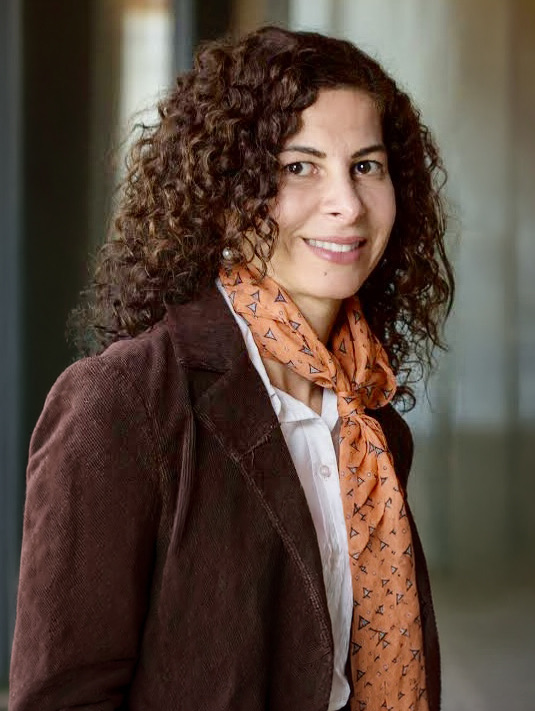 Prof. Dr. Farinaz Koushanfar